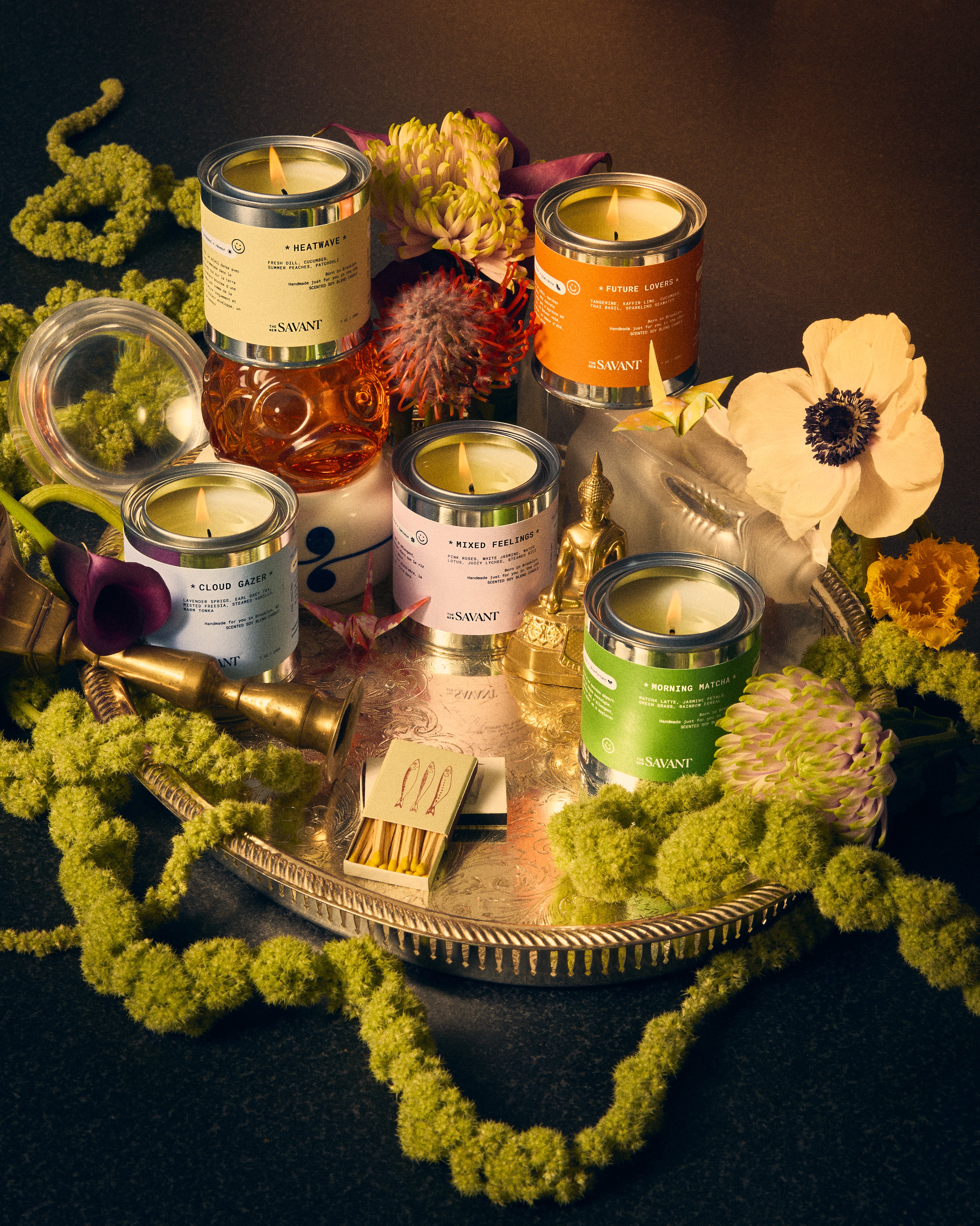 Just Restocked – THE NEW SAVANT Just Restocked – THE NEW SAVANT