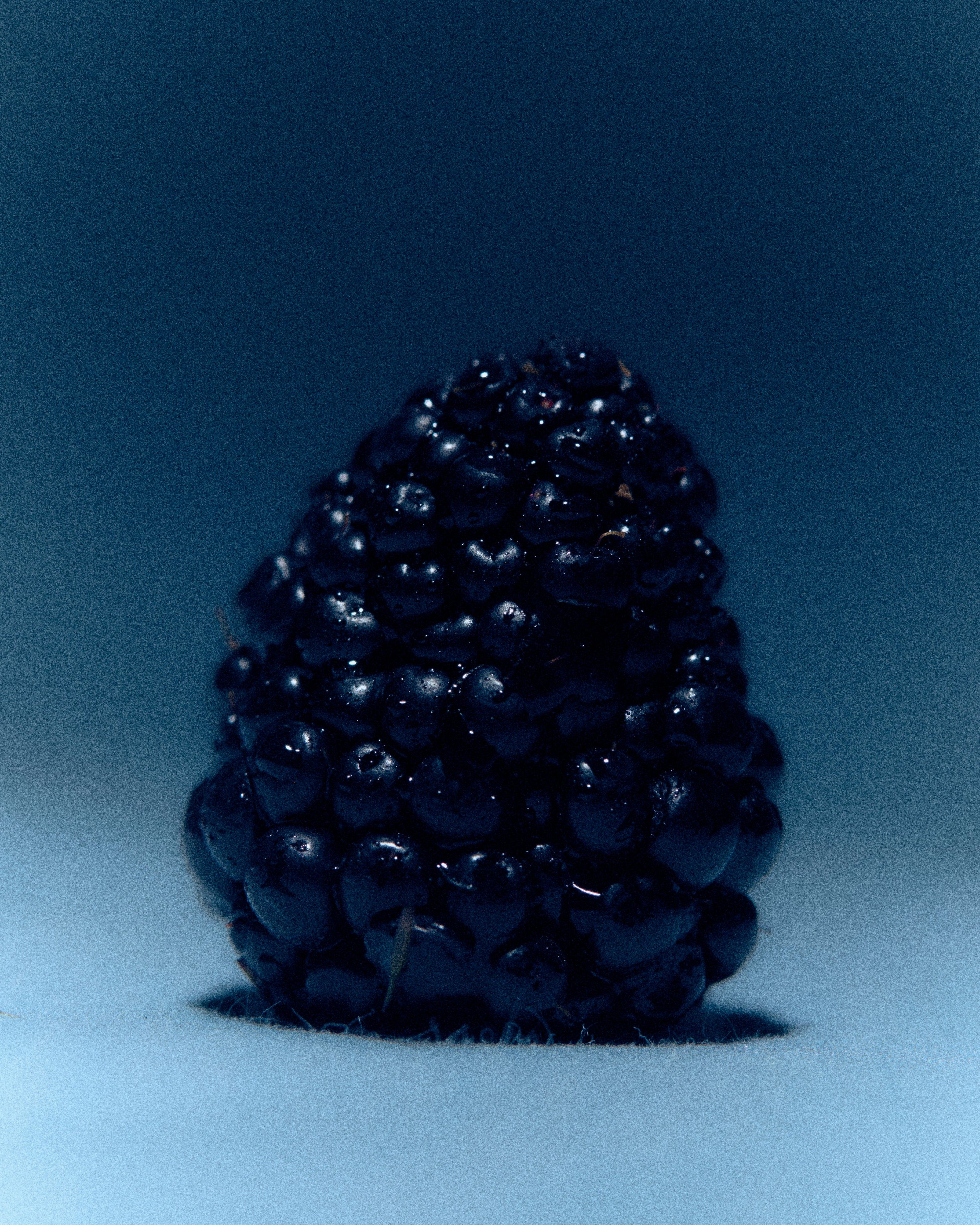 Moonrise in a Forest Candle
