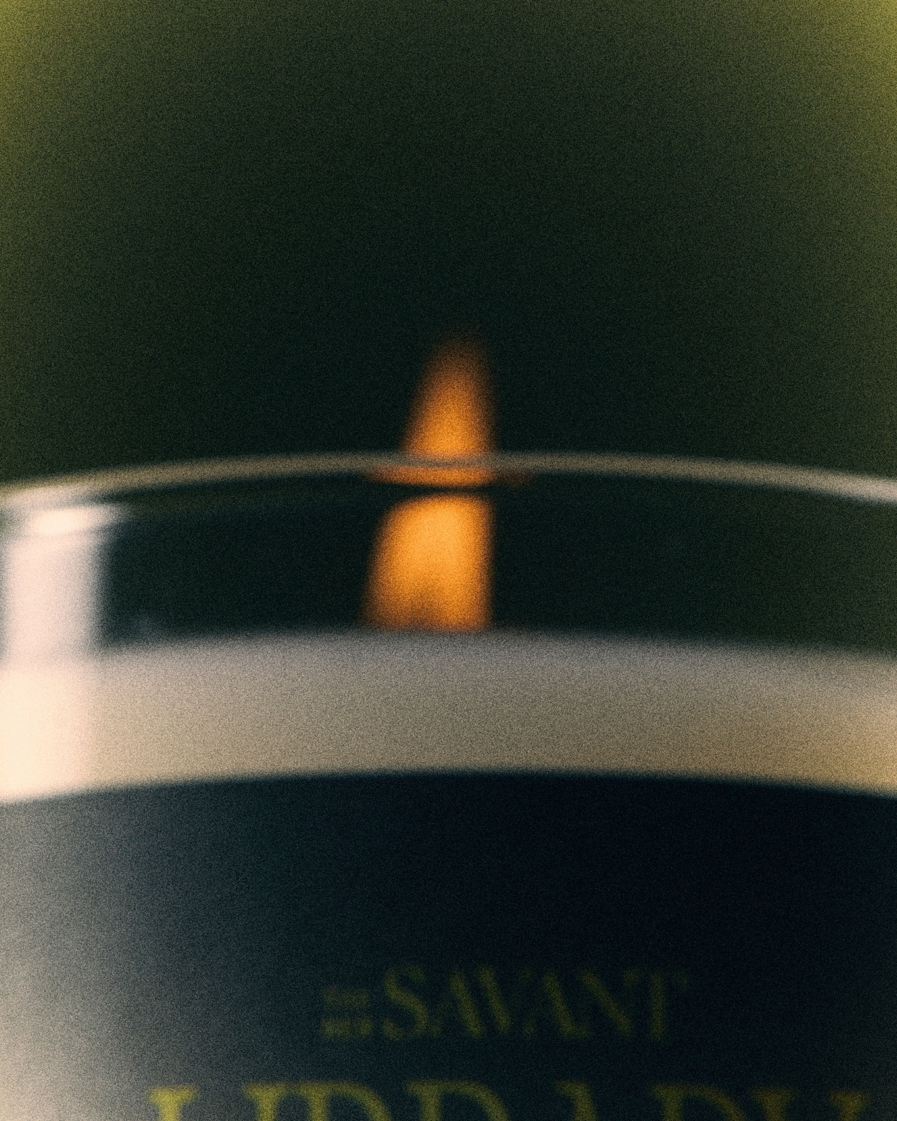 Library in a Forest Candle