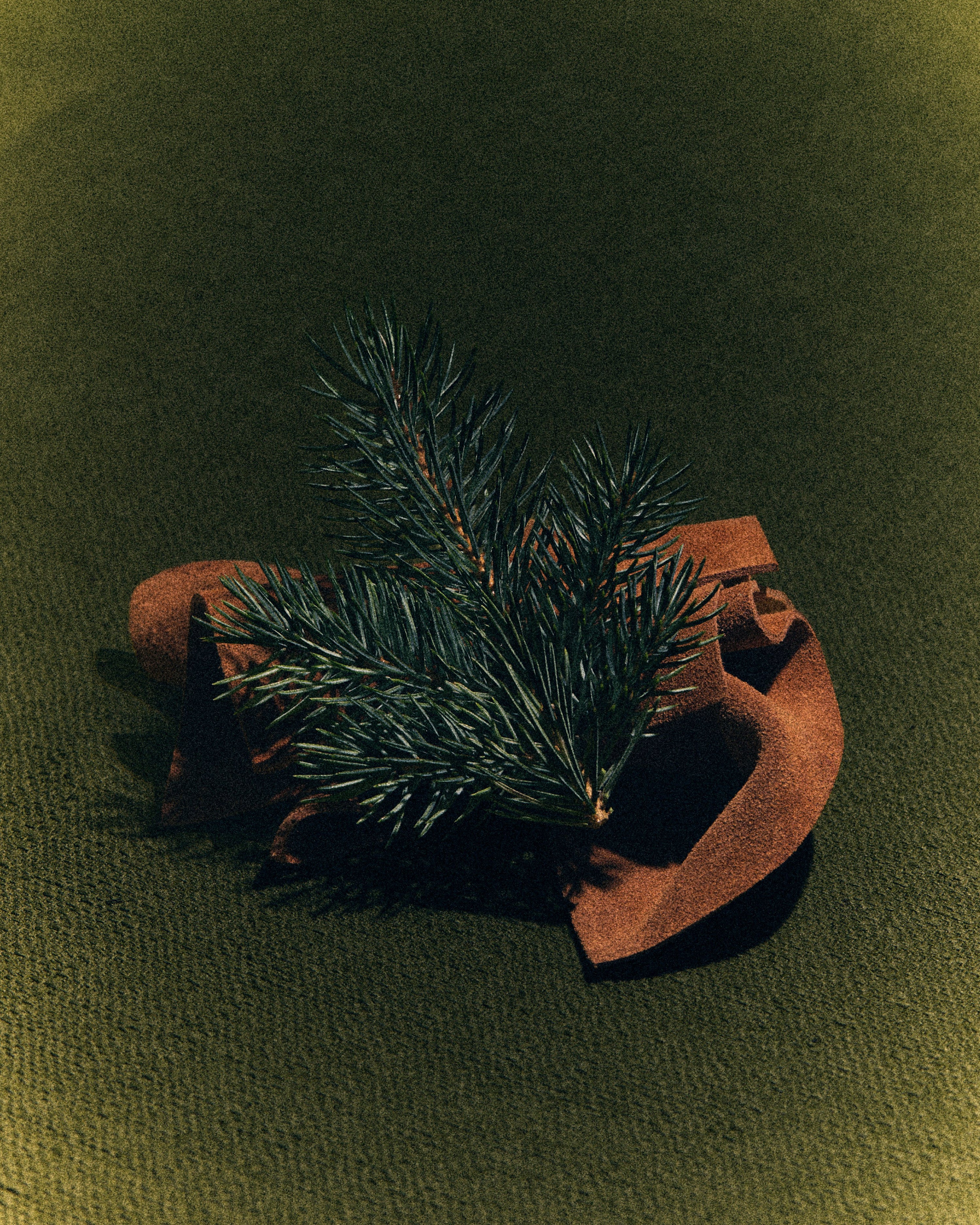 Library in a Forest Candle